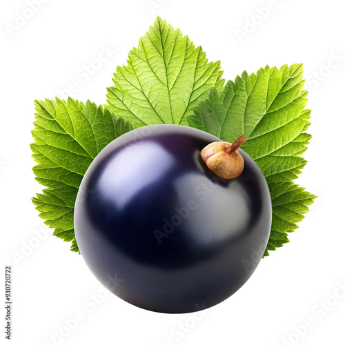 currant isolated on transparent background png