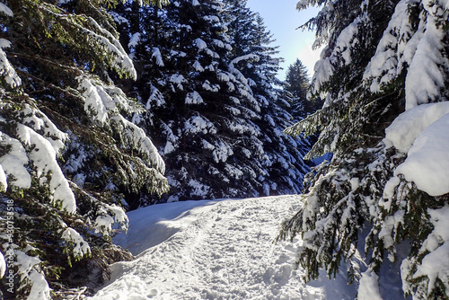 Mountain panorama of the ski area in the Lepontine Alps photo