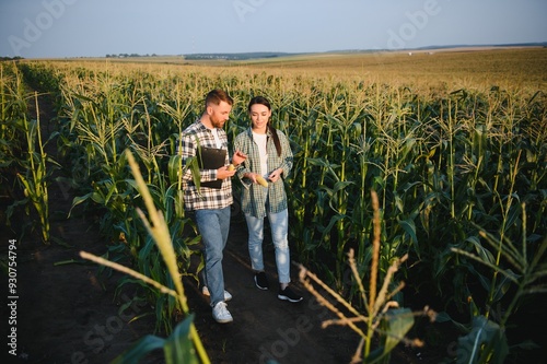 irrigation corn. two farmers work in field with corn. agriculture irrigation concept. farmers a man and woman work