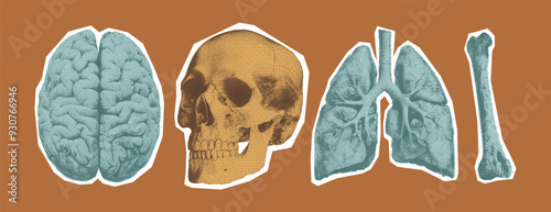 The human skull, brain, lungs and bone. Monochrome halftone collage elements in retro bitmap style for scrapbook, poster art or t-shirt. Cutout dotted stickers with grain texture.