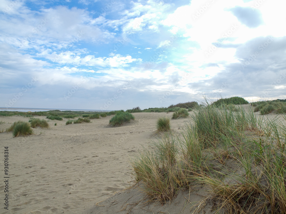 die insel Borkum die insel Borkum