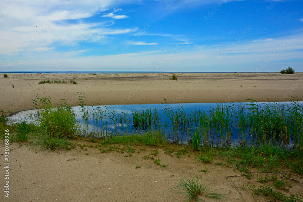 zatoka z piaszczystą wydmą, zalew z piaszczystą wydmą i zielonymi trzcinami, ujście Wisły, bay with sand dune, coastline with a dune and green reeds,