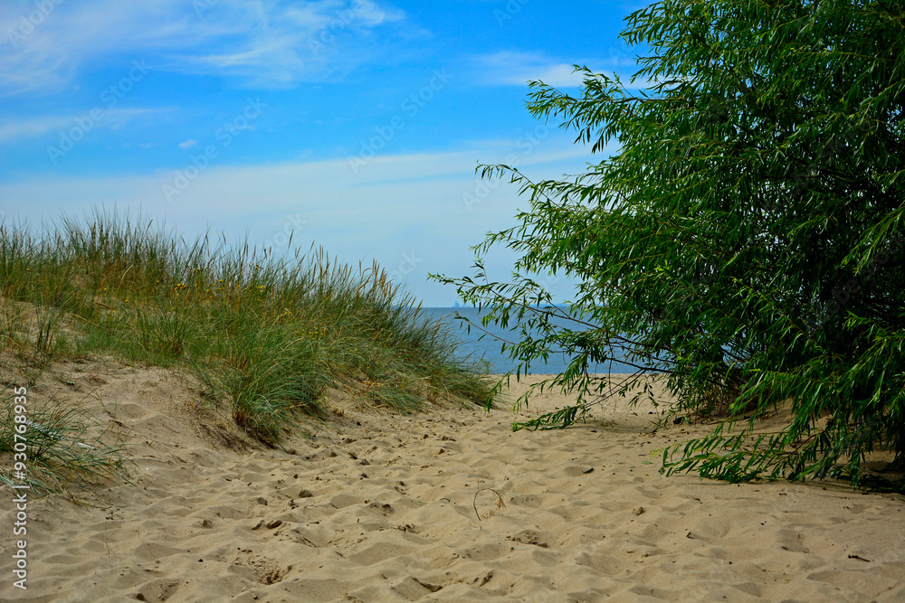 przejście na plażę, nadmorski krajobraz, piaszczysta ściezka i błękitne niebo z białymi churami, passage to the beach, seaside landscape, sandy path and blue sky with white clouds