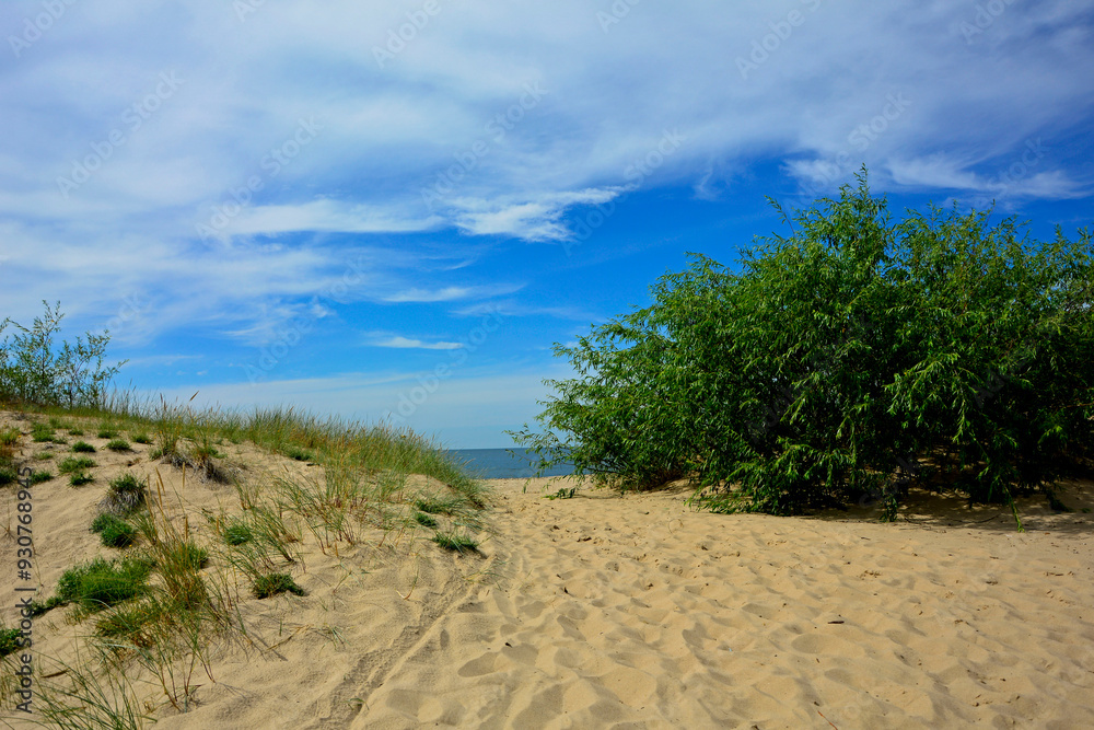 przejście na plażę, nadmorski krajobraz, piaszczysta ściezka i błękitne niebo z białymi churami, passage to the beach, seaside landscape, sandy path and blue sky with white clouds