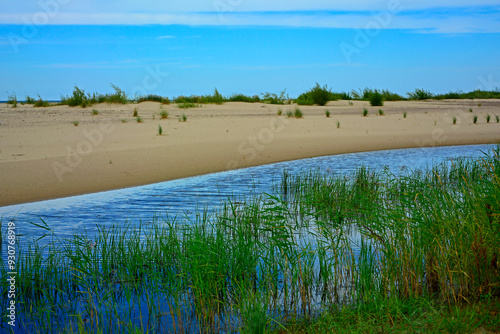 Obraz na płótnie zatoka z piaszczystą wydmą, zalew z piaszczystą wydmą i zielonymi trzcinami, ujście Wisły, bay with sand dune, coastline with a dune and green reeds, w salonie