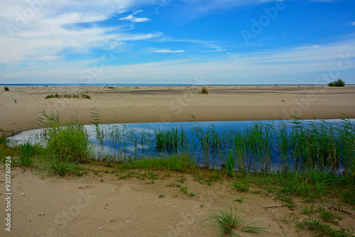 Obraz na płótnie zatoka z piaszczystą wydmą, zalew z piaszczystą wydmą i zielonymi trzcinami, ujście Wisły, bay with sand dune, coastline with a dune and green reeds, w salonie