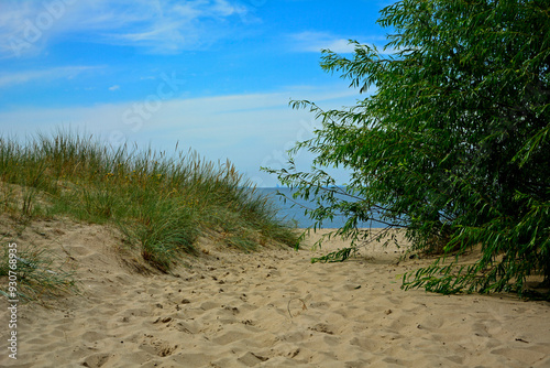 Obraz na płótnie przejście na plażę, nadmorski krajobraz, piaszczysta ściezka i błękitne niebo z białymi churami, passage to the beach, seaside landscape, sandy path and blue sky with white clouds w salonie