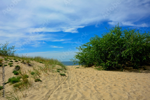 Obraz na płótnie przejście na plażę, nadmorski krajobraz, piaszczysta ściezka i błękitne niebo z białymi churami, passage to the beach, seaside landscape, sandy path and blue sky with white clouds w salonie