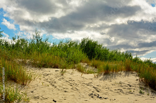 Obraz na płótnie trawy wydmowe, trawy na nadmorskiej wydmie, trawy na piaszczystej wydmie, Piaskownica zwyczajna, Calamagrostis arenaria or Ammophi, dune grasses, beach grass,sand dune with marram grass
w salonie