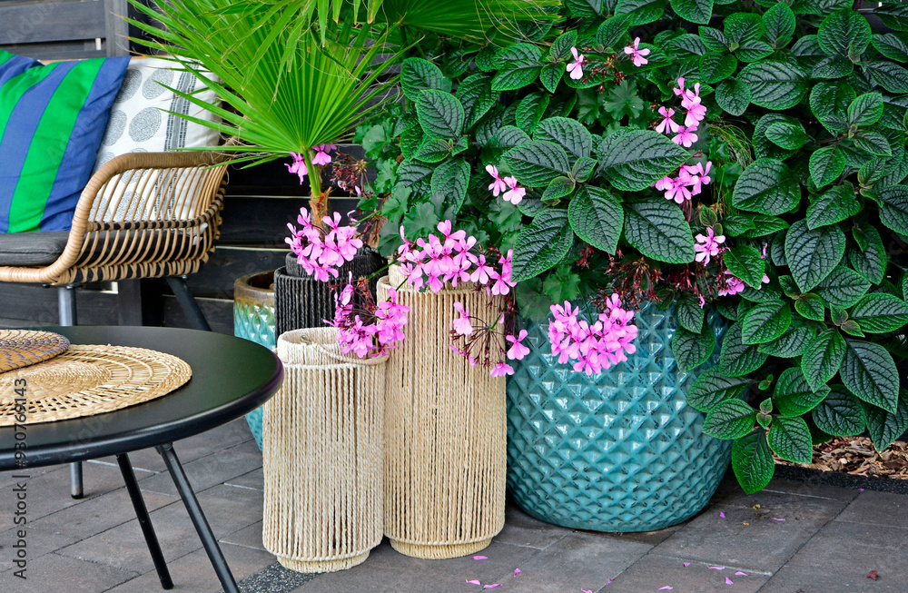 kompozycja z roślin doniczkowych komarzyca i pelargonia bluszczolistna, Plectranthus Nico, ozdone wazony, stolik, rołsiny i fotel na tarsie, flowers in pot and decorative objects on the patio,