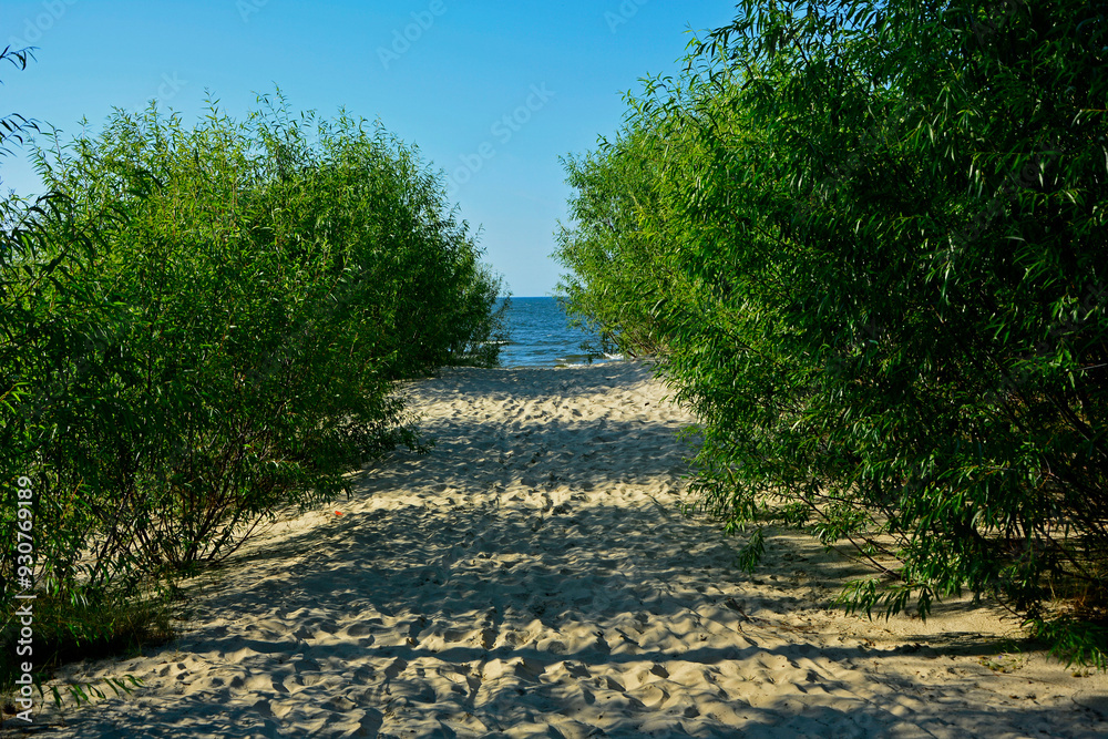 przejście na plażę, nadmorski krajobraz, piaszczysta ściezka i błękitne niebo, passage to the beach, seaside landscape, sandy path and blue sky