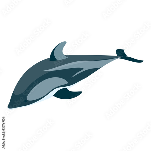 3D Isometric Flat Vector Set of Types Of Dolphins, Educational Classification. Item 6
