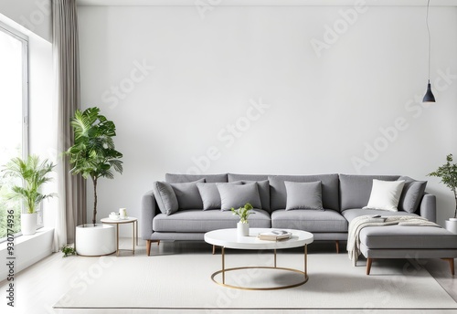 gray sofa in a white living room interior