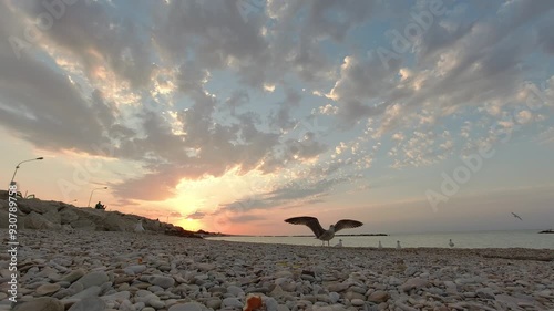 Gabbiani in riva al mare che volano, risoluzione 4k
