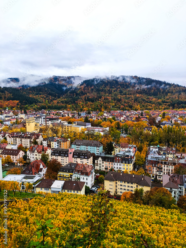 Obraz premium view of the city