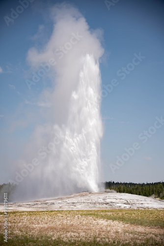 geyser in park national park