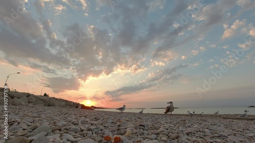 Gabbiani in riva al mare che volano, risoluzione 4k