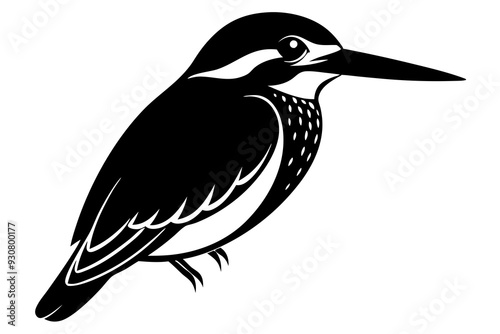 Kingfisher vector art illustration photo