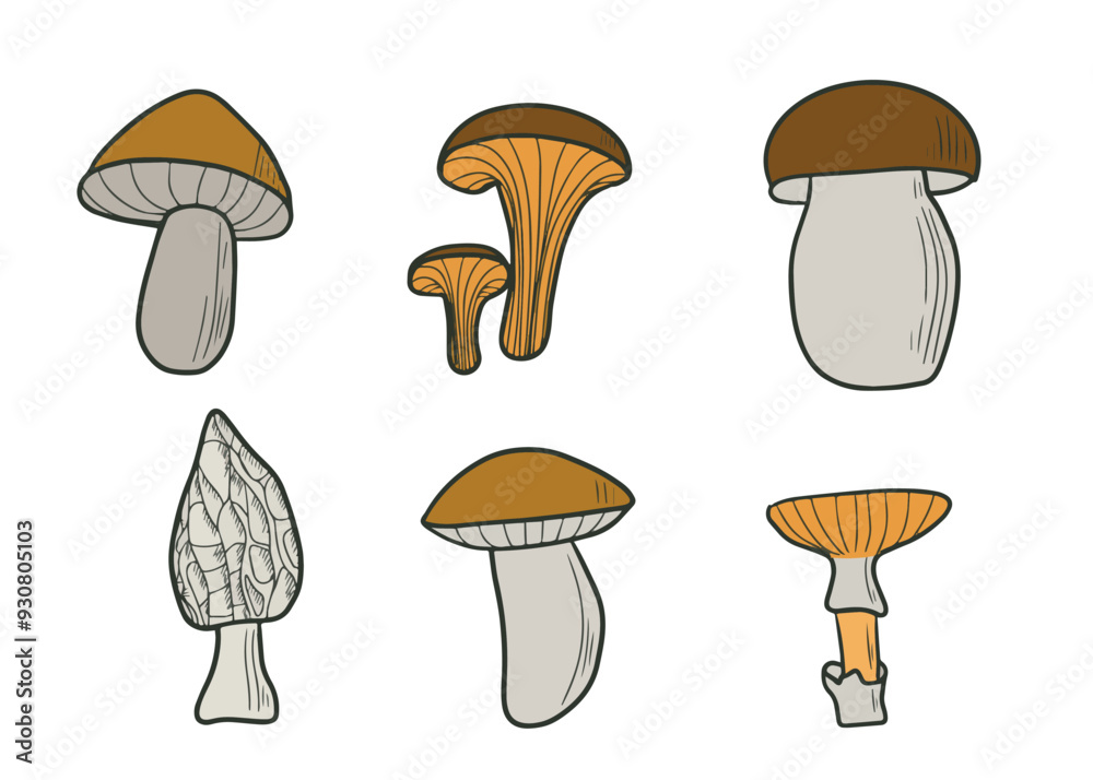 Set of mushrooms, flat design, modern art. Autumn set of hand drawn cute and cozy design elements. Fall, Thanksgiving Day, Autumn season. Set of mushrooms, flat design, modern art. Autumn set of hand drawn cute and cozy design elements. Fall, Thanksgiving Day, Autumn season.