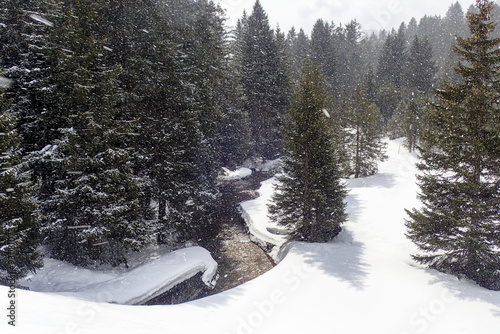 Winter landscape of the ski resort photo