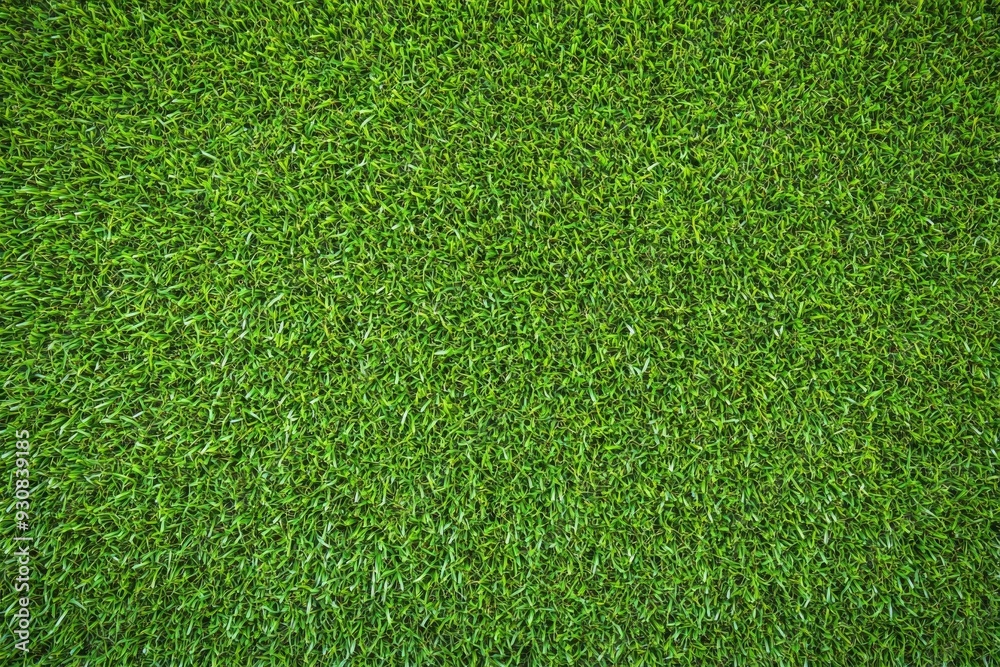 Fototapeta premium High-resolution top view of a lush green grass texture, ideal for a sports field or football playground, captured with sharp focus using a Sony Alpha A7 III.