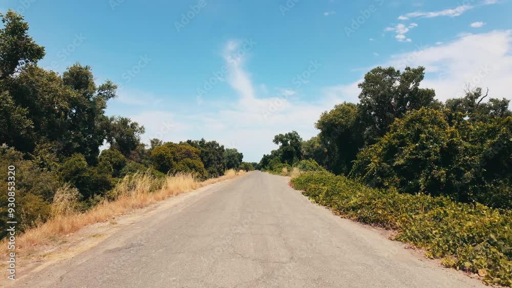 Moving down an empty levee road Moving down an empty levee road