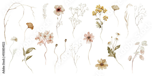 Fototapeta Naklejka Na Ścianę i Meble -  Watercolor floral illustration - wildflowers individual element set. Autumn fall dried flowers leaves branches. Wedding invitations prints wallpapers fashion background. Yellow white silver dull.