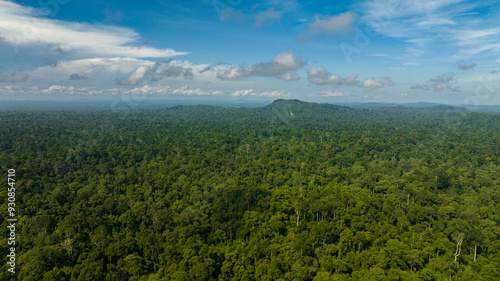 Billede på lærred Aerial drone of lowland tropical forest and jungle