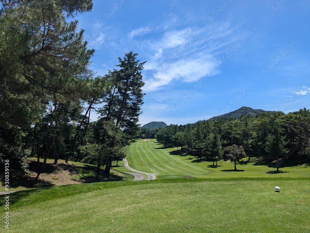 Naklejka premium park in the park