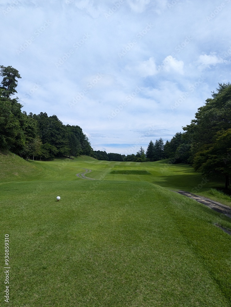 Obraz premium golf course in the morning