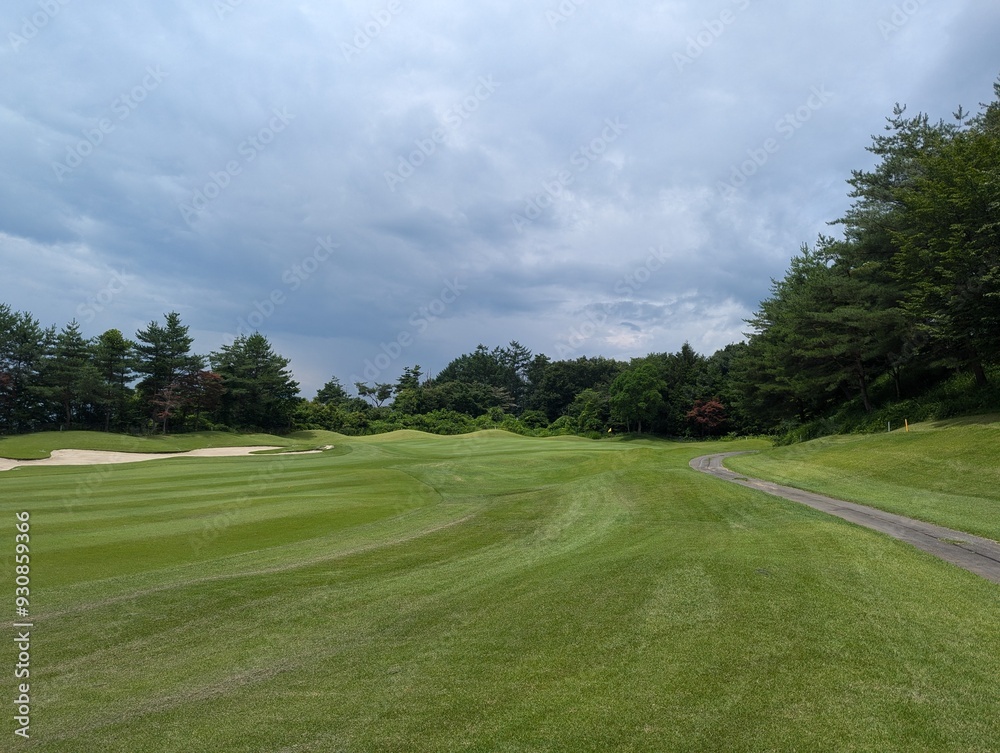 golf course in the morning golf course in the morning