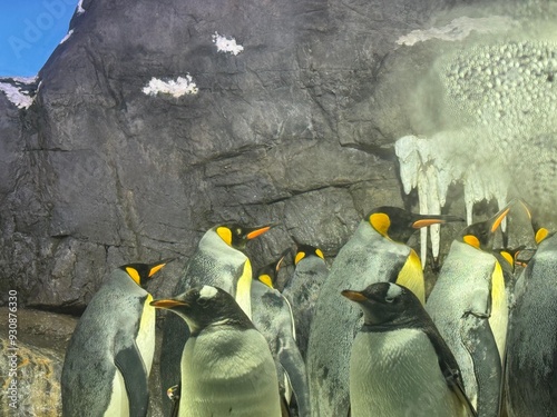 Un grupo de pingüinos rey reunidos frente a una pared rocosa con manchas de nieve y formaciones de hielo photo