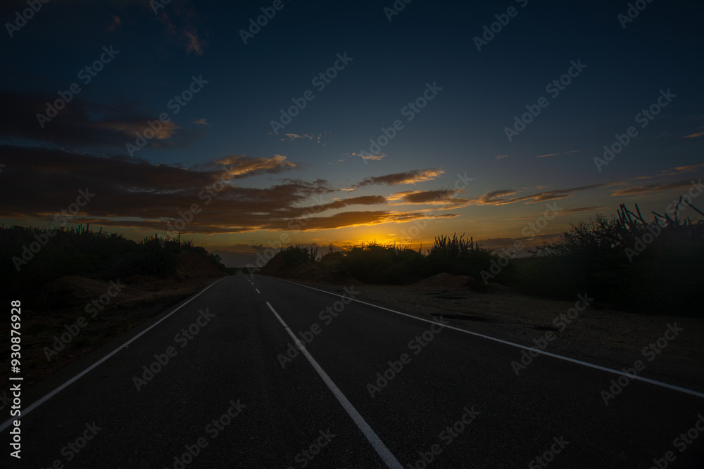 Road to the mountain. Arid mountains. Paths through the mountains with cacti and xeric vegetation. Red earth. Road to the mountain. Arid mountains. Paths through the mountains with cacti and xeric vegetation. Red earth.