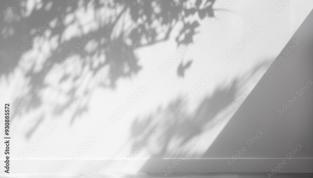 summer background shadows from the indoor tree of happiness on a white ...