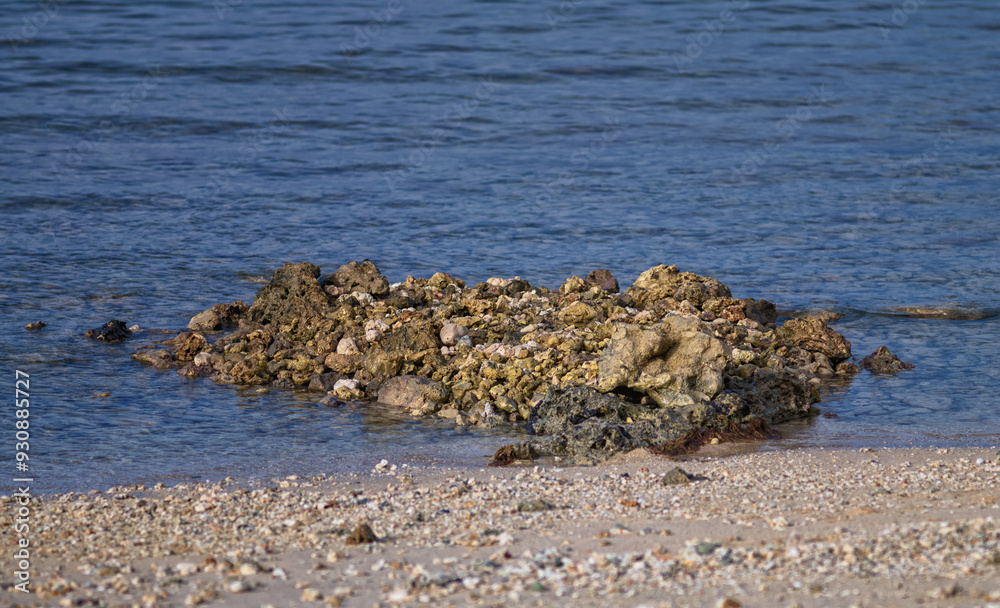 Coral Pebbles and Sea Shells on the Ocean Shoreline in Honolulu, Hawaii. Coral Pebbles and Sea Shells on the Ocean Shoreline in Honolulu, Hawaii.