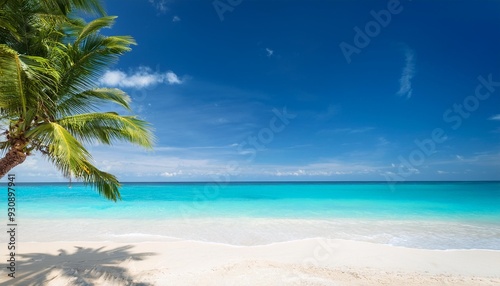 banner of idyllic tropical beach with white sand palm tree and turquoise blue ocean