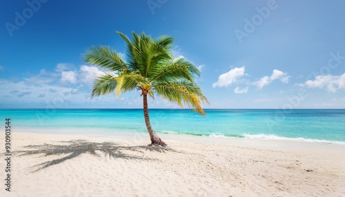 tranquil tropical beach scape a serene beach with a single palm tree on a sunny day embodying peace and natural beauty