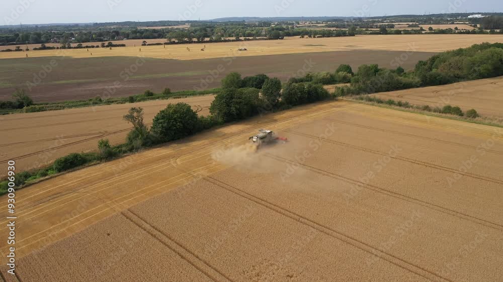 Harvest machine middle of the wheat field doing it's job Oxfordshire, England Harvest machine middle of the wheat field doing it's job Oxfordshire, England