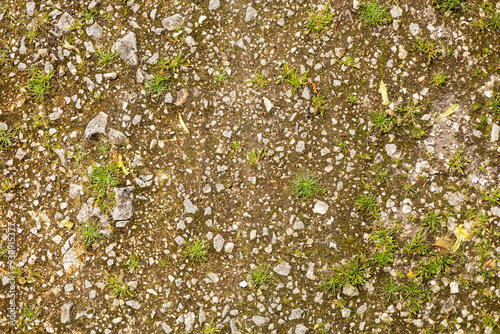 Close-Up of Gravelly Ground with Green Grass