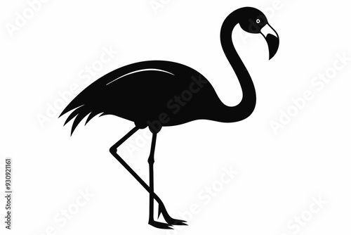 flamingo vector silhouette, Vector black flamingo silhouette, Black silhouette of tropical bird flamingo