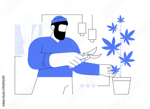 Harvesting home-grown cannabis isolated cartoon vector illustrations.