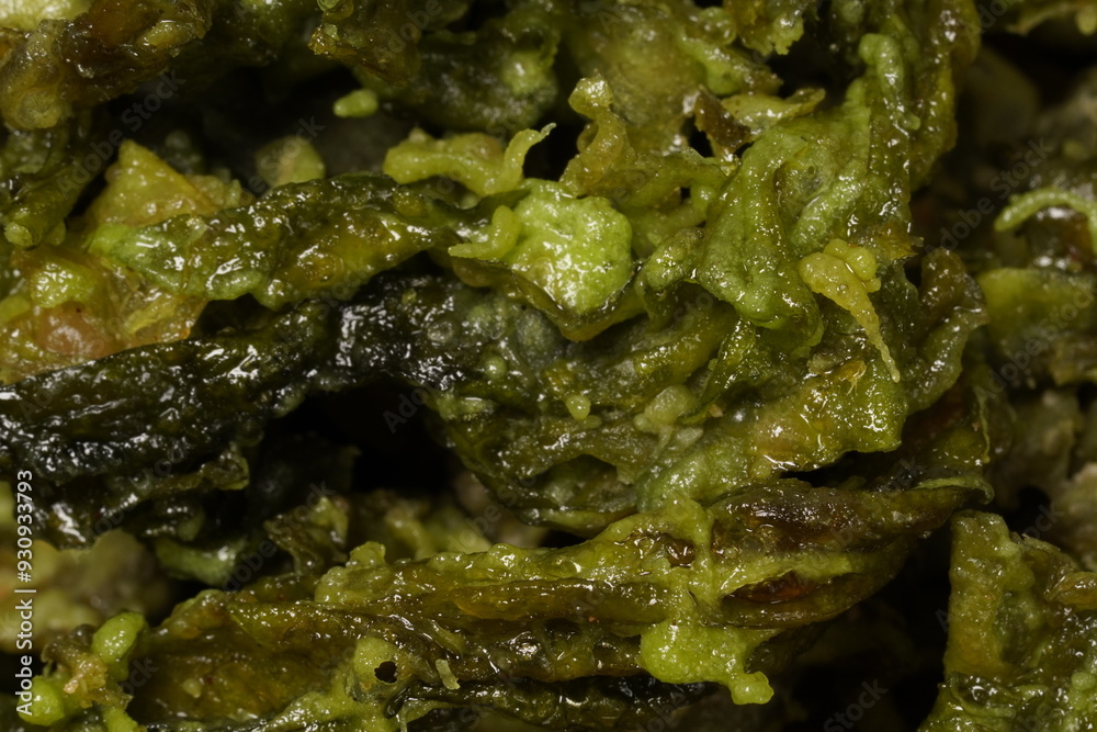 Crispy fried seaweed coated in flour, harvested from the southern beaches of Yogyakarta, photographed against a white background. Crispy fried seaweed coated in flour, harvested from the southern beaches of Yogyakarta, photographed against a white background.