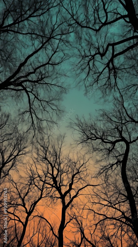 Bare tree branches silhouetted against a colorful Bare tree branches silhouetted against a colorful
