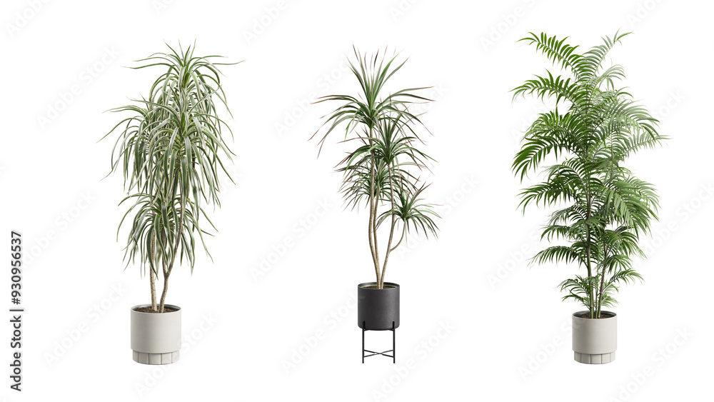 Obraz premium Tall Potted Plants on Transparent Background