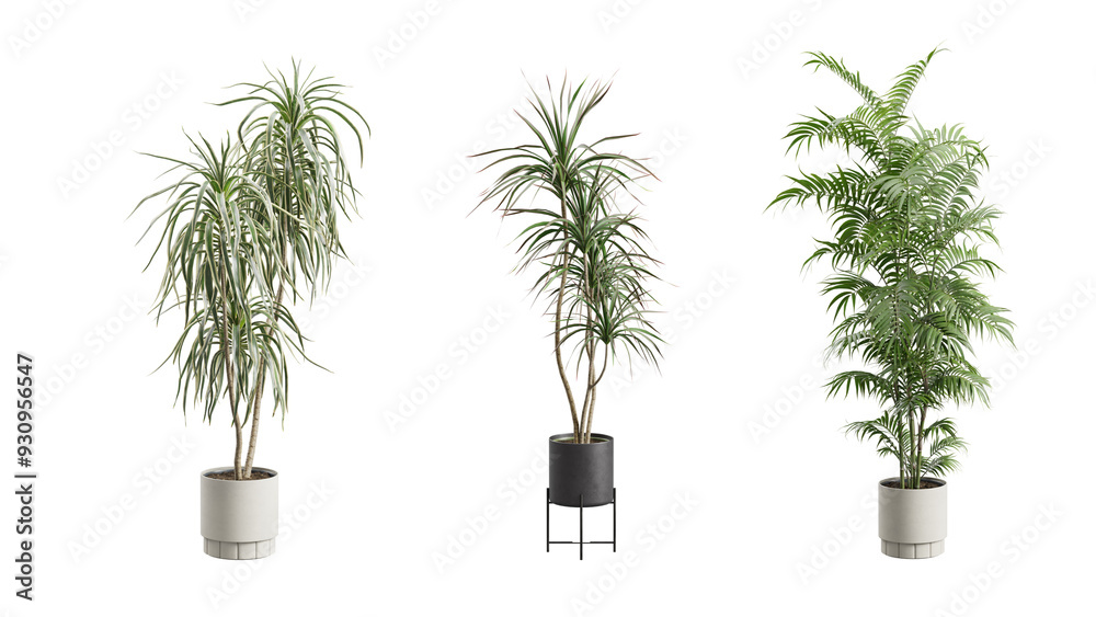 Obraz premium Tall Potted Plants on Transparent Background