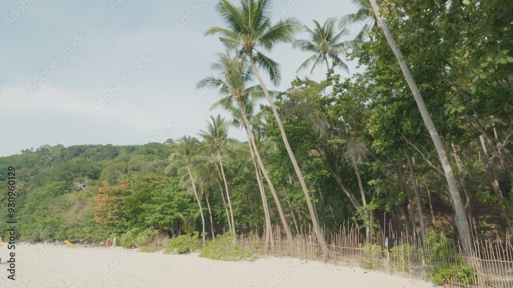 A beach with palm trees and a fence A beach with palm trees and a fence