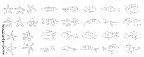 Detailed underwater plants and coral outlines. Ocean kelp, seaweed in marine aquarium set. Diverse aquatic reef life elements, isolated sea flora and doodles for coloring.