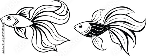 Angel fish vector illustration 