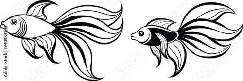 Angel fish vector illustration 