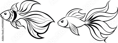 Angel fish vector illustration 